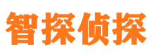 长宁市侦探公司